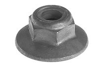 Flange Nut