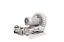 Vacuum Blowers SB with Electro-Pneumatic Reversing