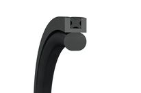 Piston Seals Turcon AQ-Seal