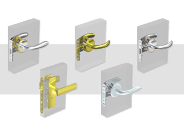 Swing Door Locks