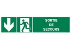 Emergency exit sign + picto + left arrow down