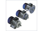 Asynchronous electric motors