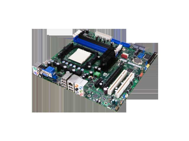 NVIDIA GeForce 8100 mGPU