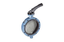 Special Applications: TW 150/TW 200 Tank Valves