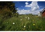 Green Roofs