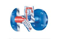 Steam trapping : ARI-CONA M