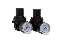 Regulators Model Mini