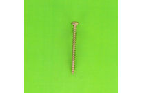 Wood Screws : Wood Screw, Round Pozidriv Head - Wood and Chipboard Screw, Torx, Yellow Zinc Steel