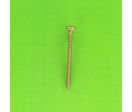 Wood Screws : Wood Screw, Round Pozidriv Head - Wood and Chipboard Screw, Torx, Yellow Zinc Steel