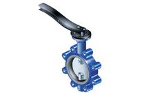 Butterfly valve : ARI-GESA