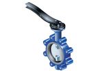 Butterfly valve : ARI-GESA