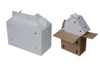 Transport box for cats