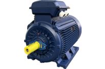 IP55 IE4 Asynchronous Motors