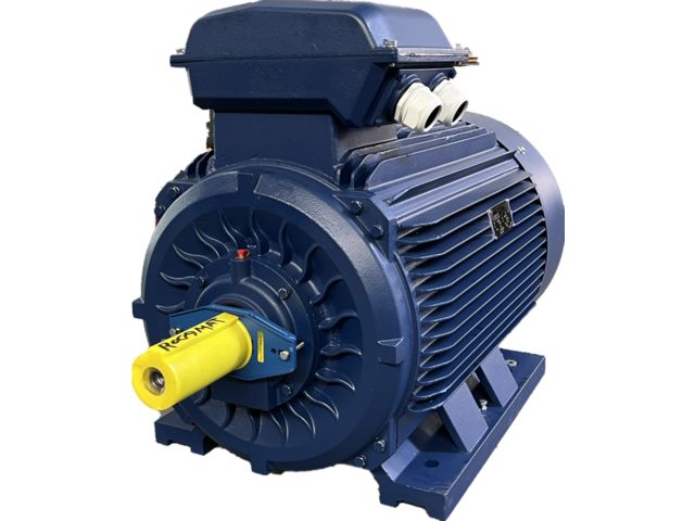 IP55 IE4 Asynchronous Motors