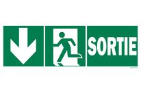 Exit sign + picto + down arrow on both sides