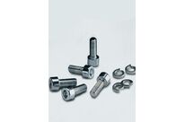 Cap head screws