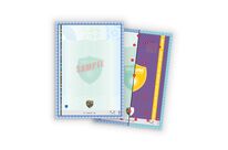 High security paper x21 Custom