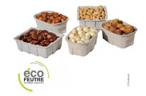 Food Punnet in Moulded Pulp