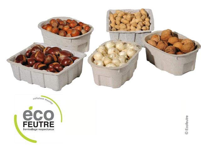 Food Punnet in Moulded Pulp