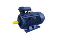 Rental of electric motors and transformers