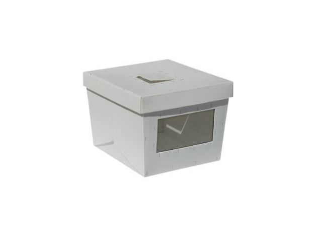 Transport box for rabbits and chicken