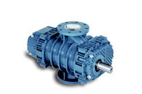 Roots Vacuum Pumps