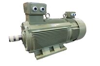 Low voltage slip ring motors