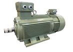 Low voltage slip ring motors