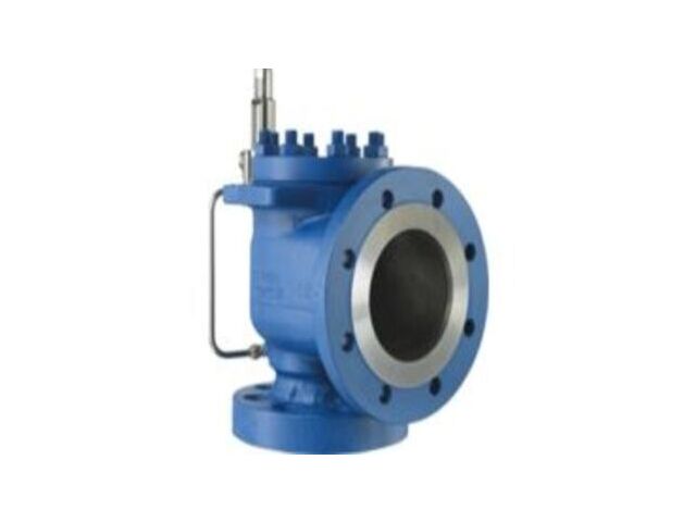 Safety valve Type 800