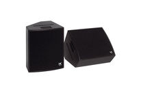 Versatile monitor F.O.H cabinet : VS12