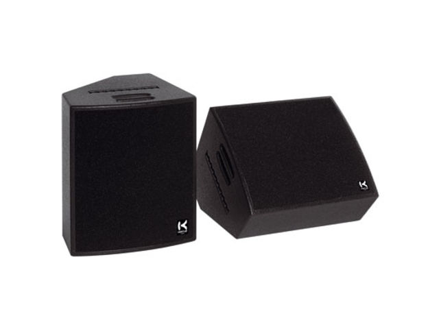 Versatile monitor F.O.H cabinet : VS12