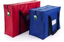 Secure cash transport bag