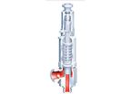 Safety valve : ARI-SAFE TCP