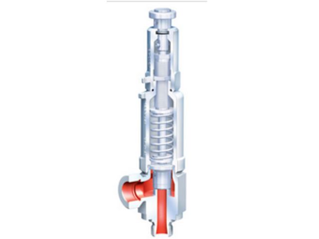 Safety valve : ARI-SAFE TCP