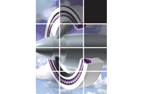 Coil Spring Actuated Seals (CSA)