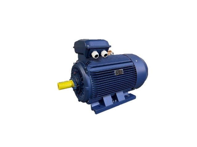 Asynchronous motors with ATEX cage ZONE22 II3D