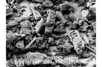 Wollastonit HAR/LAR : TREMIN® 283 / TREMIN® 939