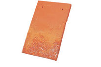 Roof Tiles Monuments Historiques Plain Tile