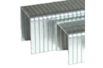 Series A11 - 6mm - Galvanized Staple : AgA116