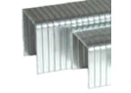 Series A11 - 6mm - Galvanized Staple : AgA116