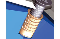 Inserts for plastics