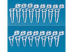 Strips of 8 PCR tubes with attached individual caps, PP, autoclavable