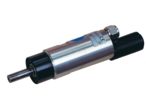 Pneumatic motors