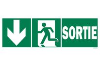 Exit sign + picto + left arrow down