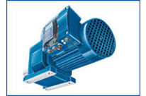 MOTOX-MASTER motor-integrated frequency inverter