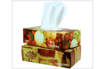 Cascades recycled facial tissue