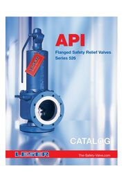 API safety valve