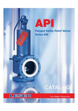 API safety valve
