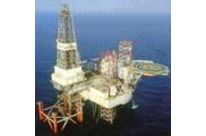 Flowmeters : OMX Series