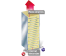 Piezoelectric Actuators